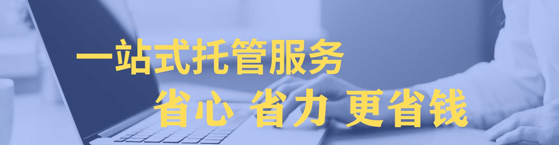 杨梅sem投放